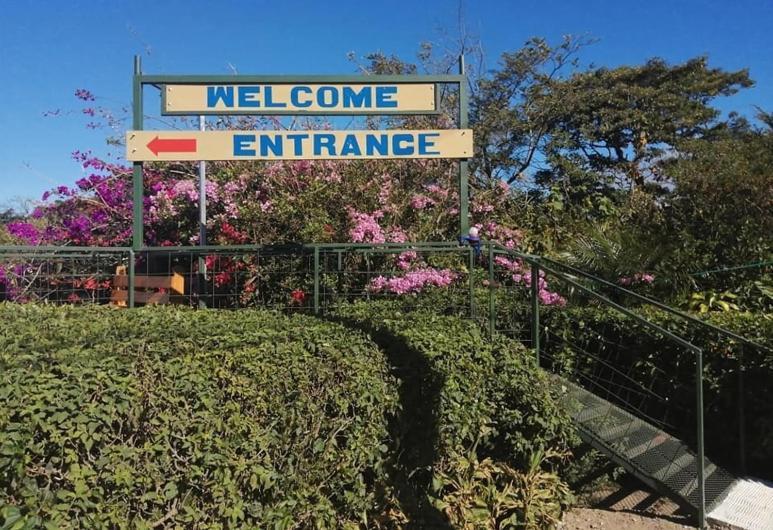 Pension Y Cabinas Colibri B&B Costa Rica Monteverde Kültér fotó