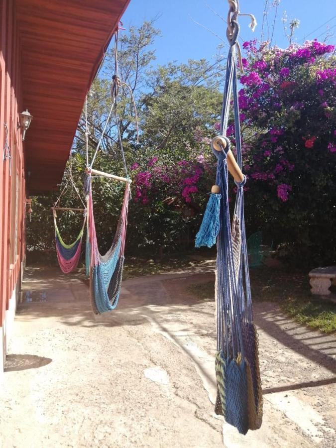 Pension Y Cabinas Colibri B&B Costa Rica Monteverde Kültér fotó