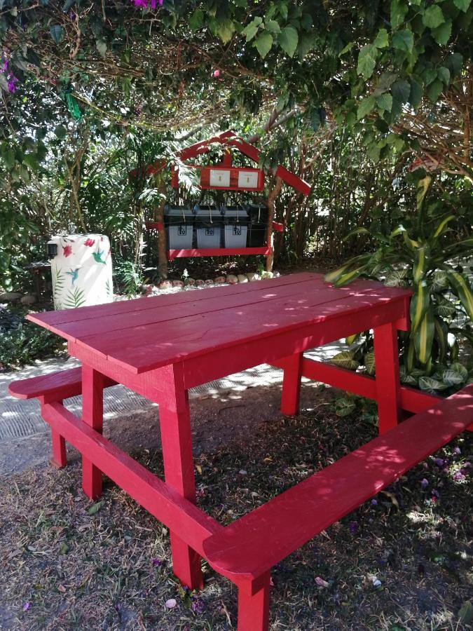 Pension Y Cabinas Colibri B&B Costa Rica Monteverde Kültér fotó