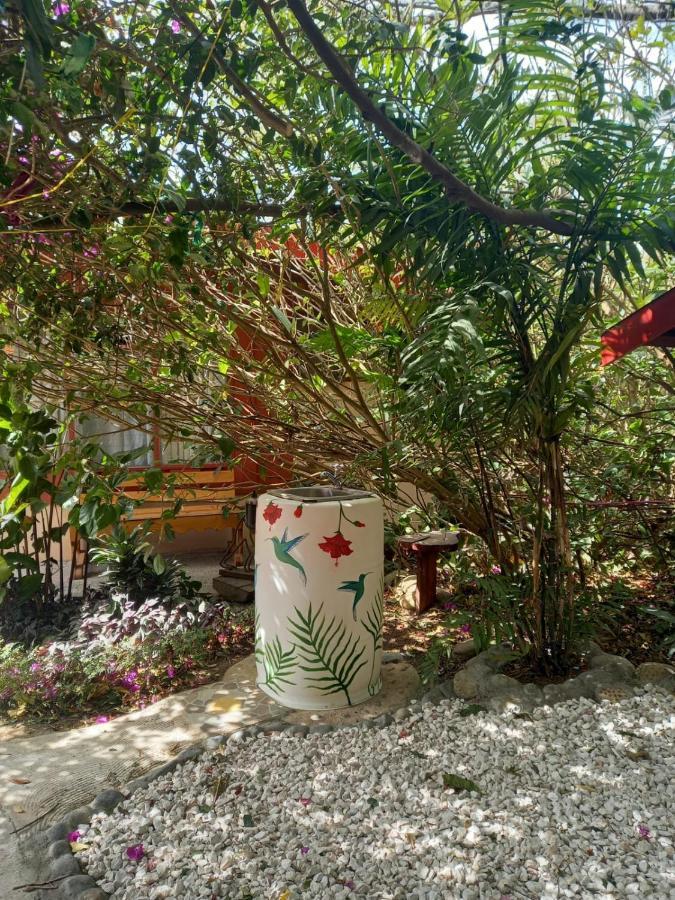Pension Y Cabinas Colibri B&B Costa Rica Monteverde Kültér fotó