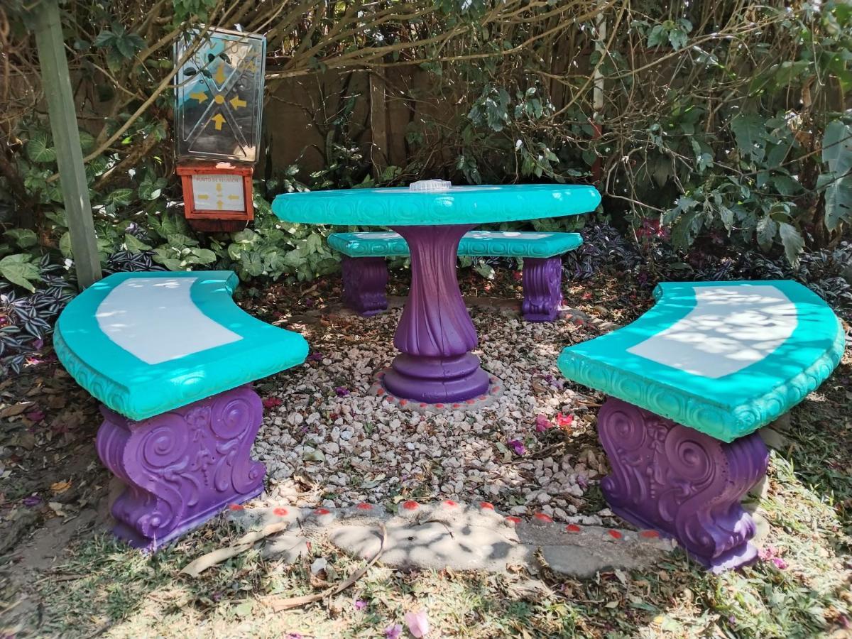 Pension Y Cabinas Colibri B&B Costa Rica Monteverde Kültér fotó