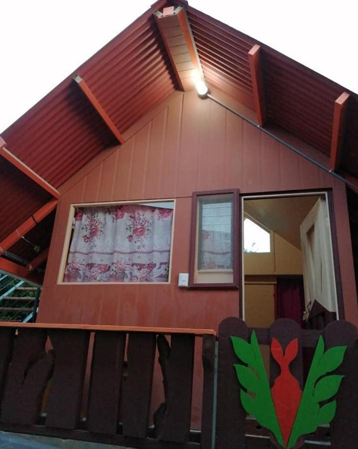 Pension Y Cabinas Colibri B&B Costa Rica Monteverde Kültér fotó