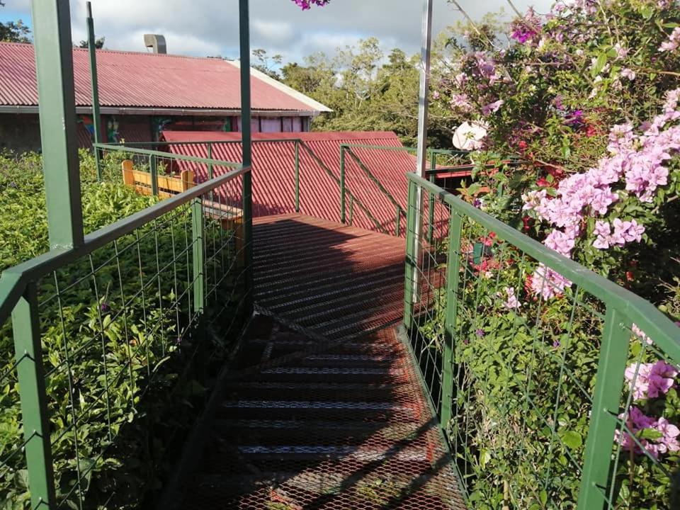 Pension Y Cabinas Colibri B&B Costa Rica Monteverde Kültér fotó