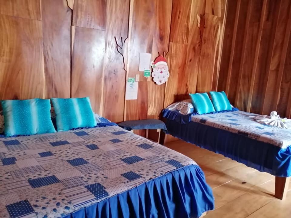Pension Y Cabinas Colibri B&B Costa Rica Monteverde Kültér fotó